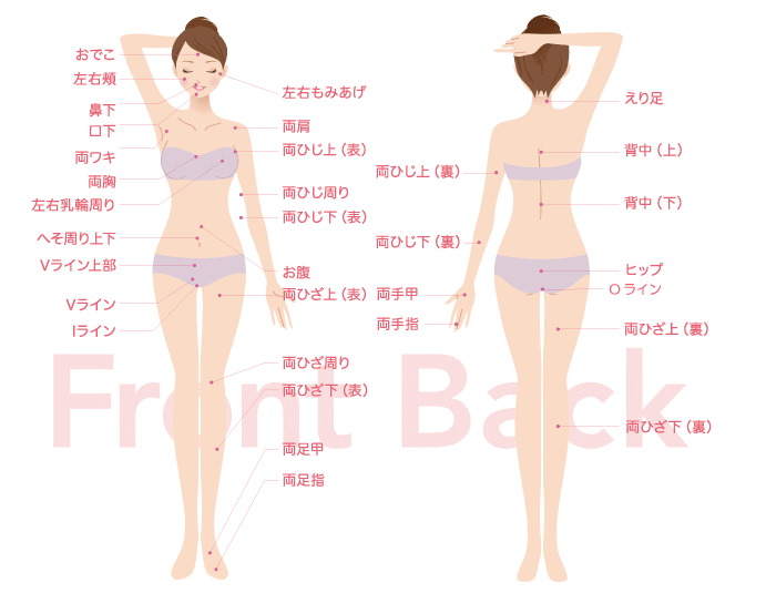シースリー青森店は全身53ヶ所脱毛